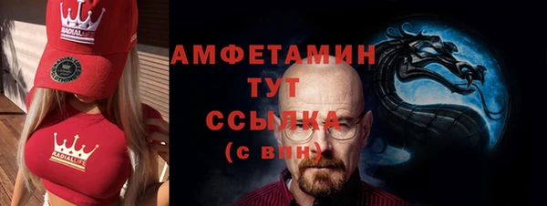 скорость Ельня