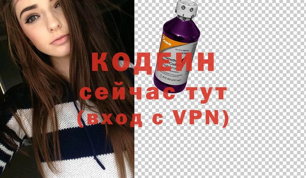 скорость Ельня