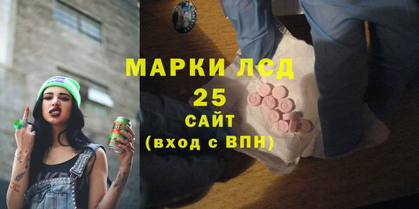 скорость Ельня
