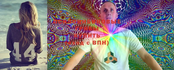 стаф Елизово