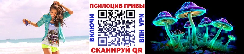 Купить  Дудинка  Псилоцибиновые грибы Magic Shrooms 